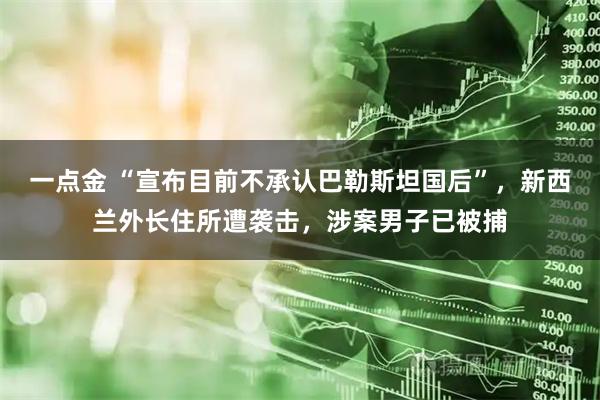 一点金 “宣布目前不承认巴勒斯坦国后”，新西兰外长住所遭袭击，涉案男子已被捕