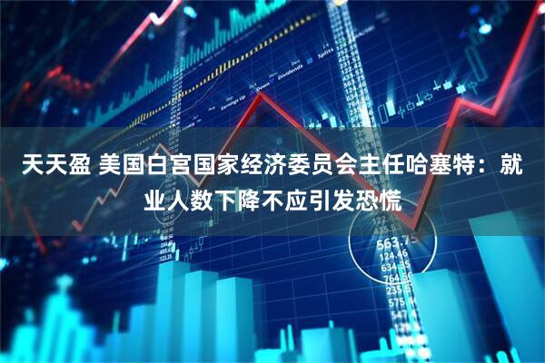 天天盈 美国白宫国家经济委员会主任哈塞特：就业人数下降不应引发恐慌