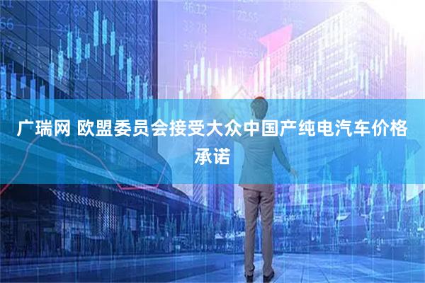 广瑞网 欧盟委员会接受大众中国产纯电汽车价格承诺