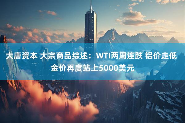 大唐资本 大宗商品综述：WTI两周连跌 铝价走低 金价再度站上5000美元