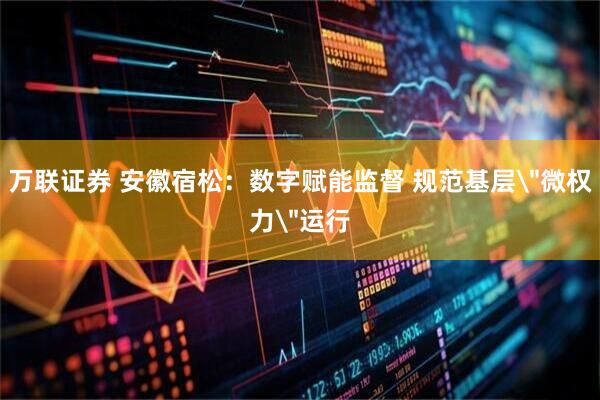 万联证券 安徽宿松：数字赋能监督 规范基层＂微权力＂运行