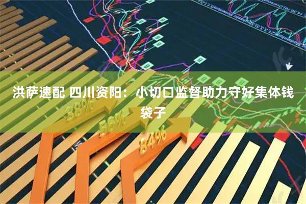 洪萨速配 四川资阳：小切口监督助力守好集体钱袋子