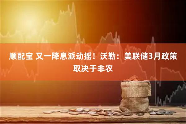 顺配宝 又一降息派动摇！沃勒：美联储3月政策取决于非农