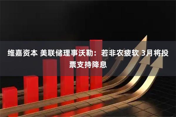 维嘉资本 美联储理事沃勒：若非农疲软 3月将投票支持降息