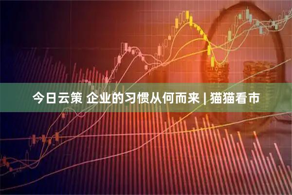 今日云策 企业的习惯从何而来 | 猫猫看市